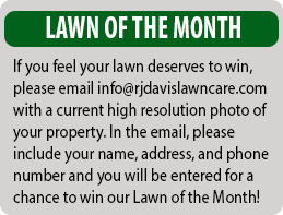 Lawn of the Month